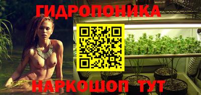 гидропоника Камышлов