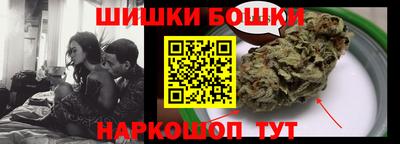 гидропоника Камышлов