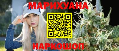 гидропоника Камышлов
