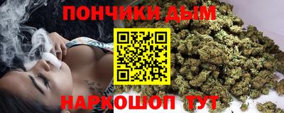 гидропоника Камышлов